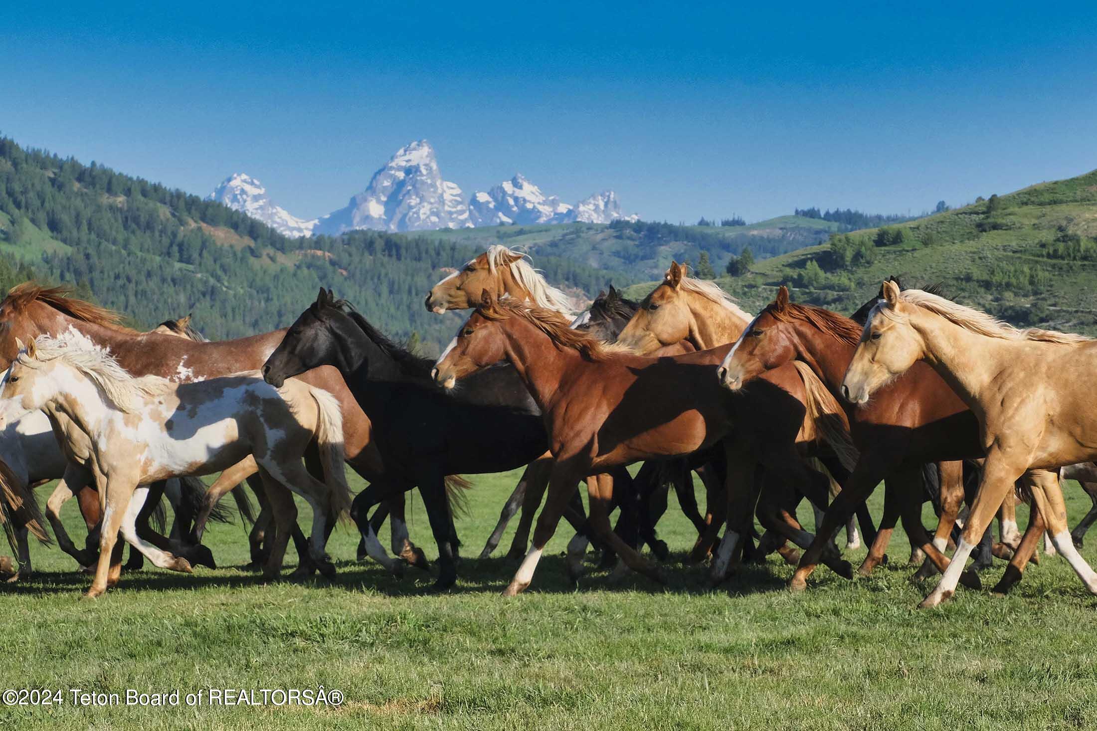 red-hills-ranch-jackson-hole-wyoming-26