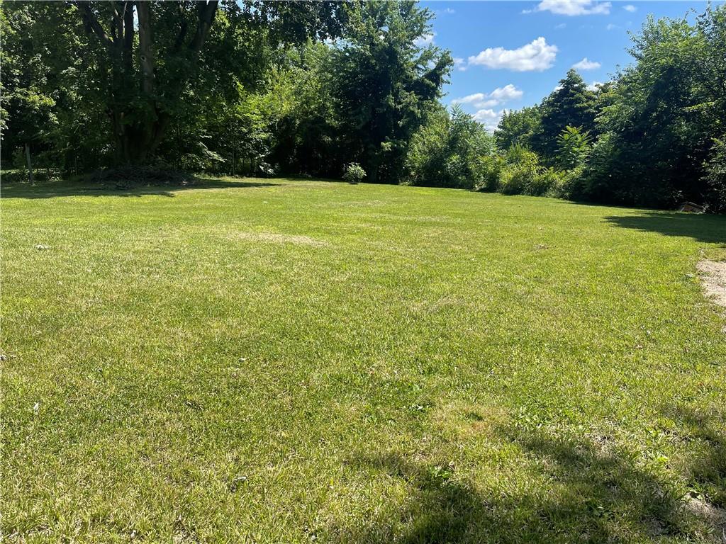 a view of a field with an trees