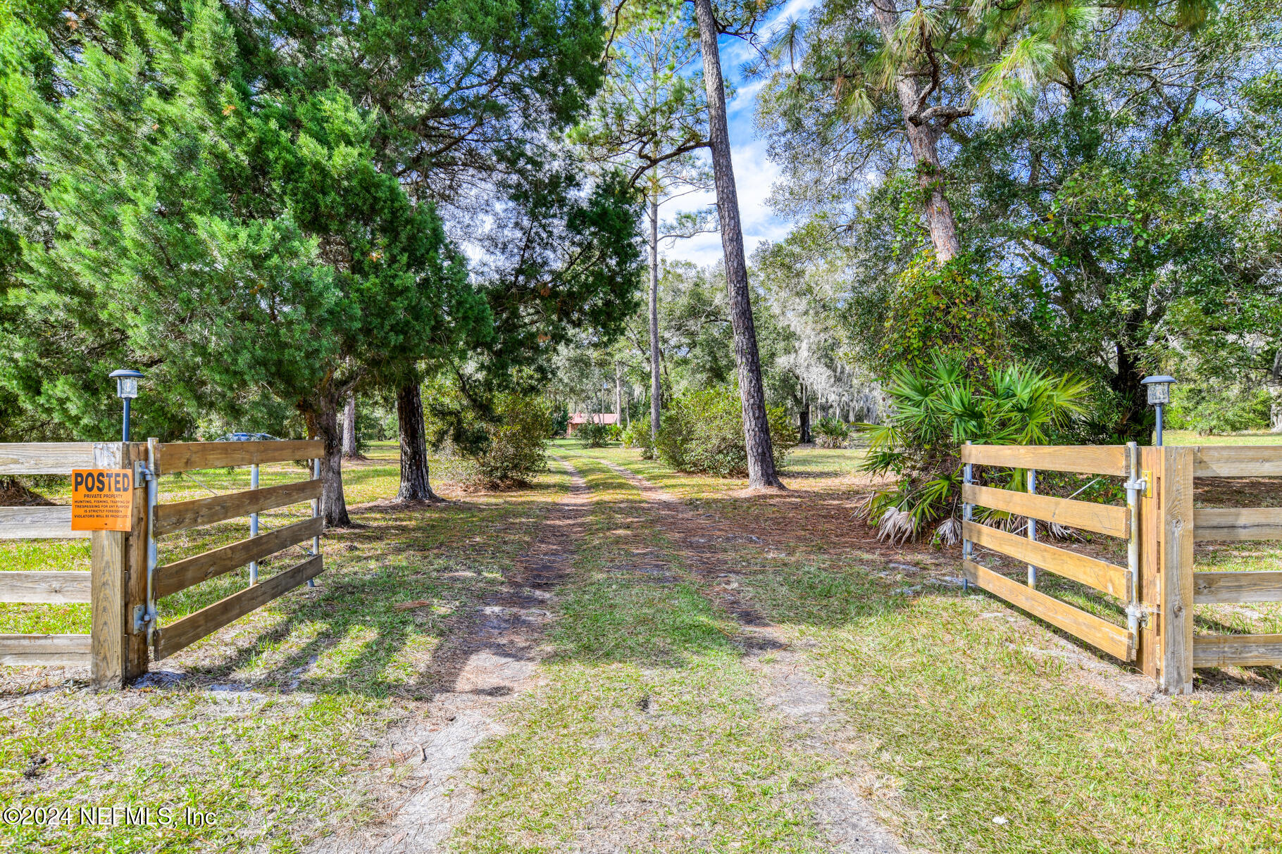 a view of backyard with trees