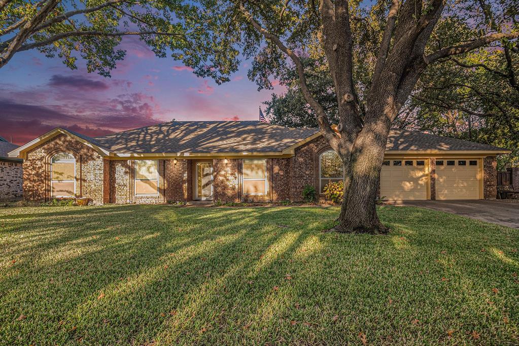 a view of a trees in a yard with a tree