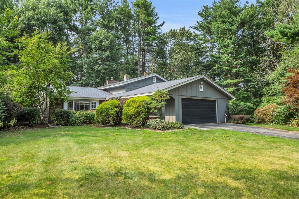 a front view of house with yard and green space