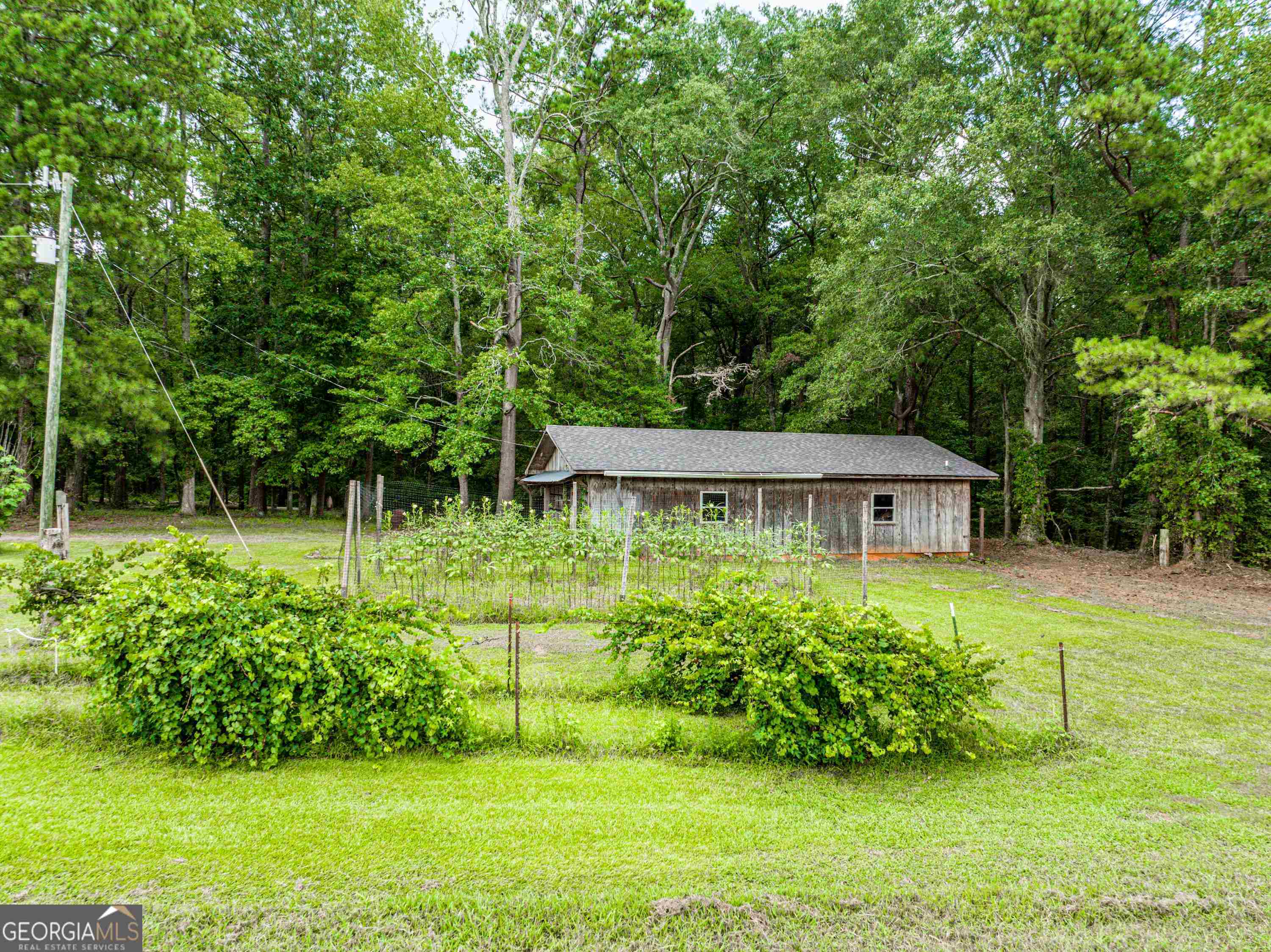 a view of a garden in front of a house