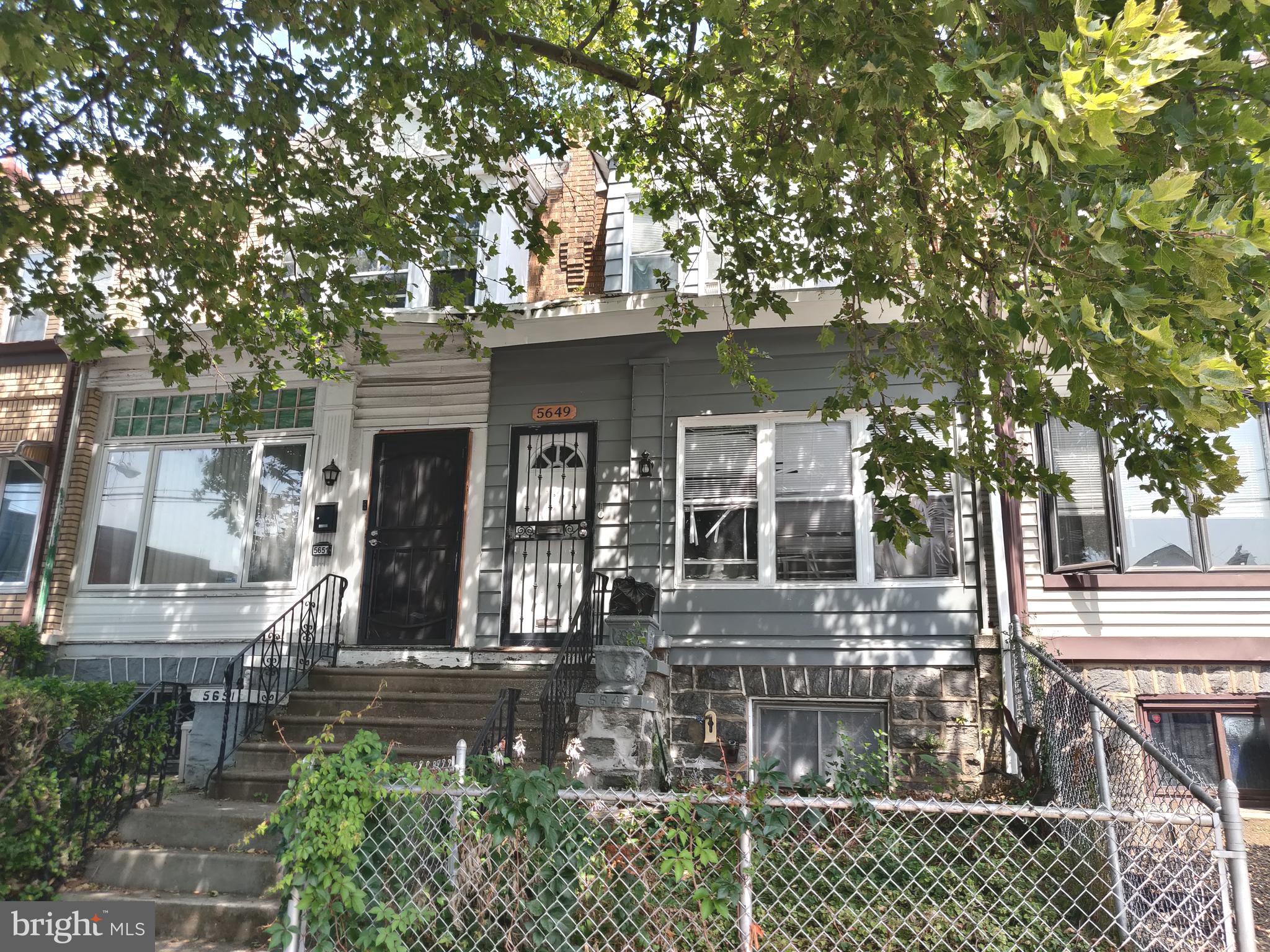 front view of house with a tree