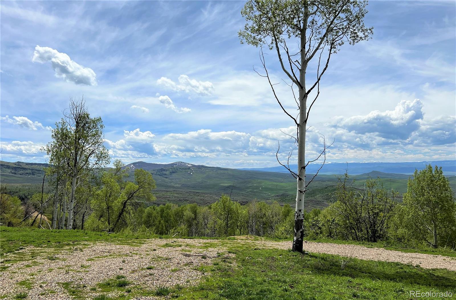 a view of a yard with an trees