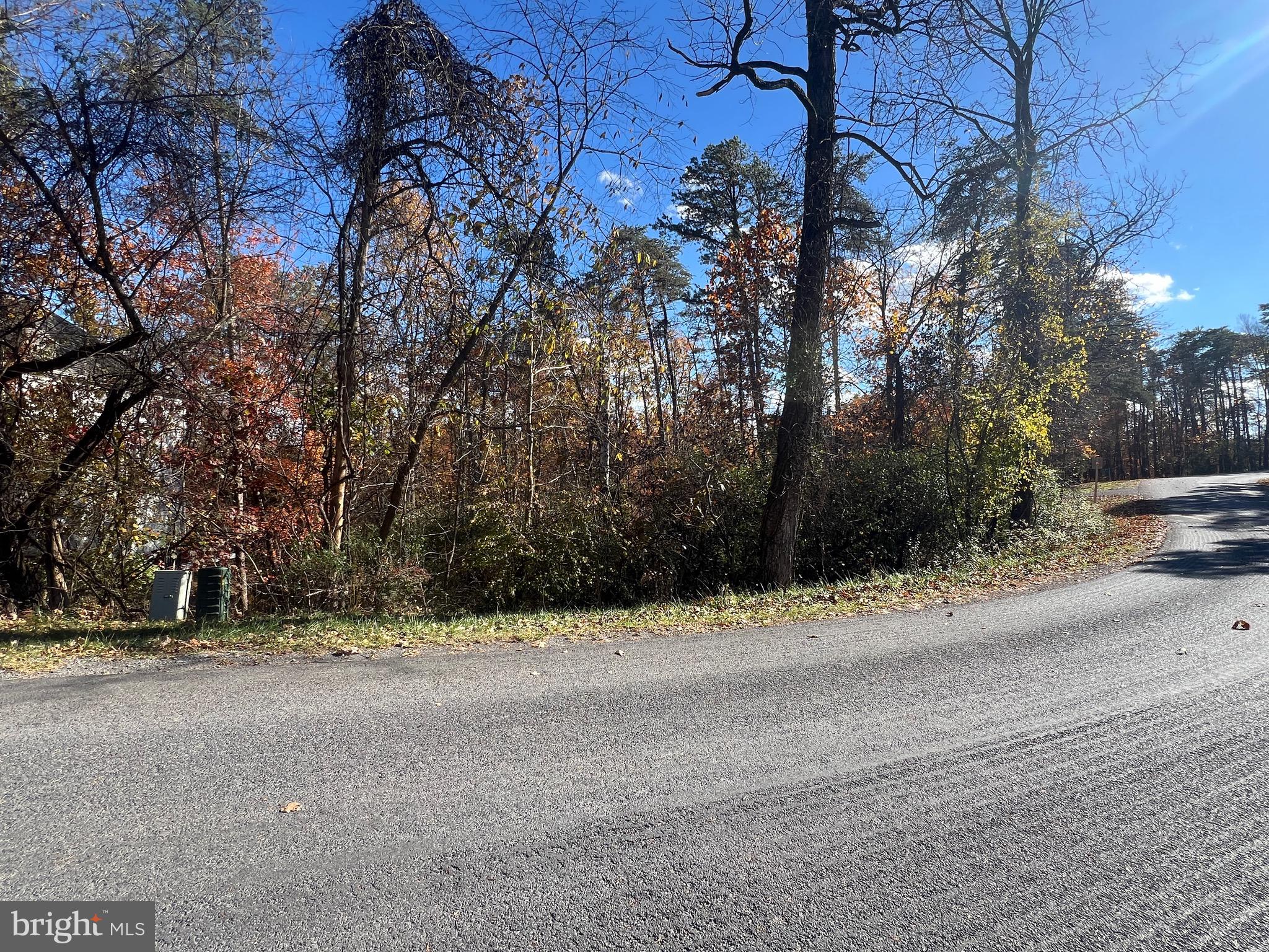 a view of road and trees