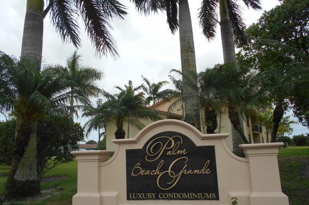 a view of front of a house with a palm tree