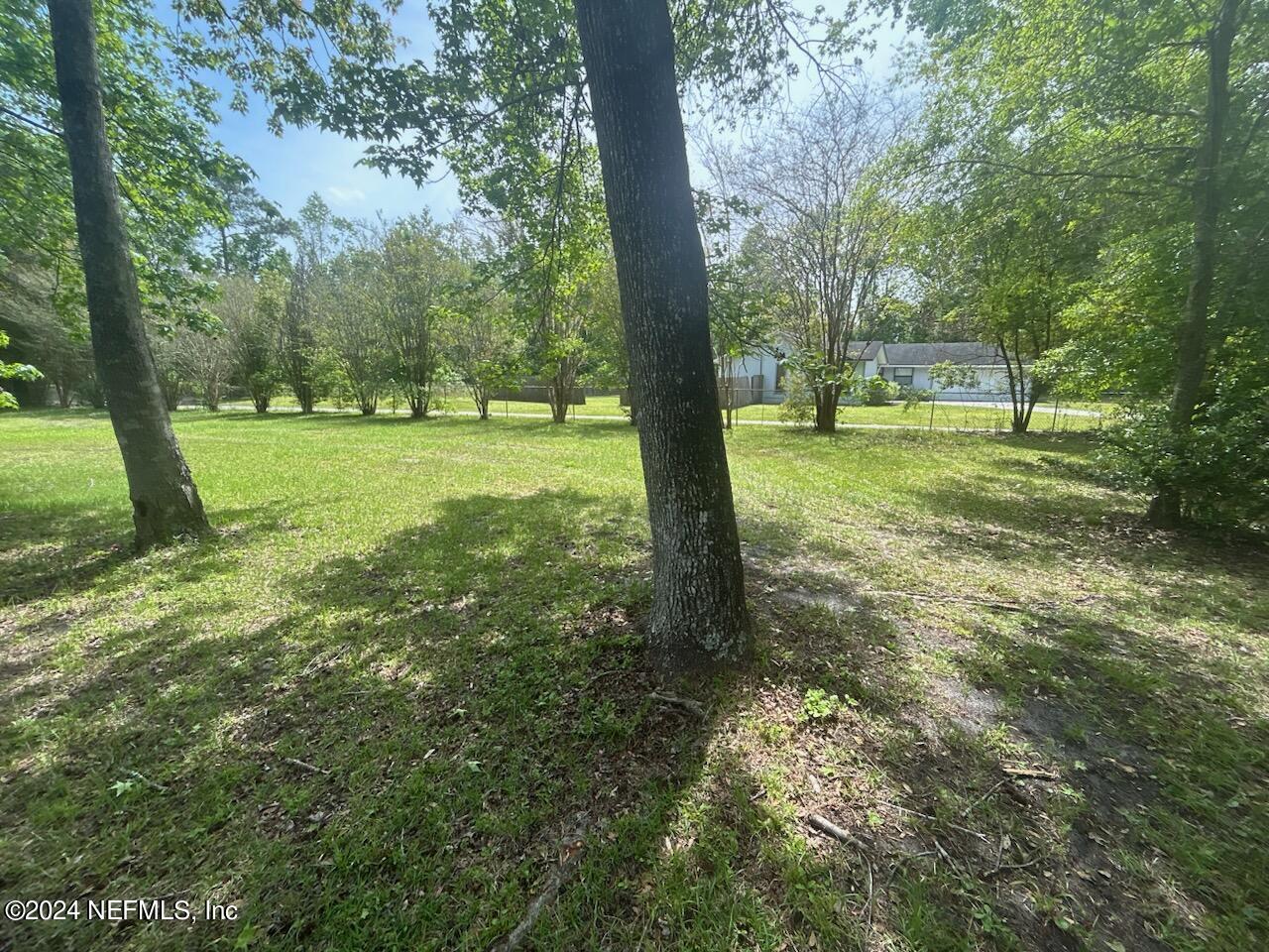 a view of a yard with a tree