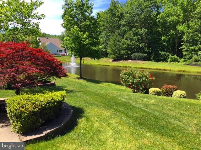 YOUR PRIVATE POND & FOUNTAIN VIEW