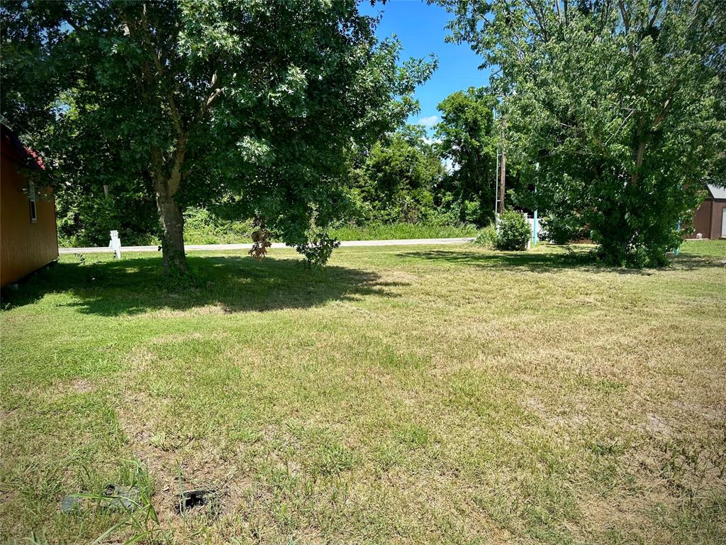 a view of a tree in a yard