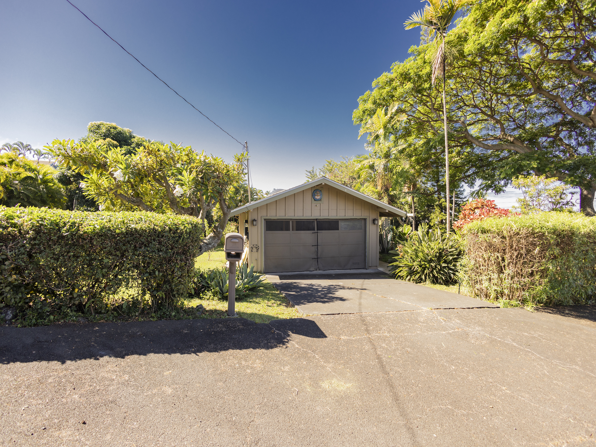 a view of tall house with a yard and large tree