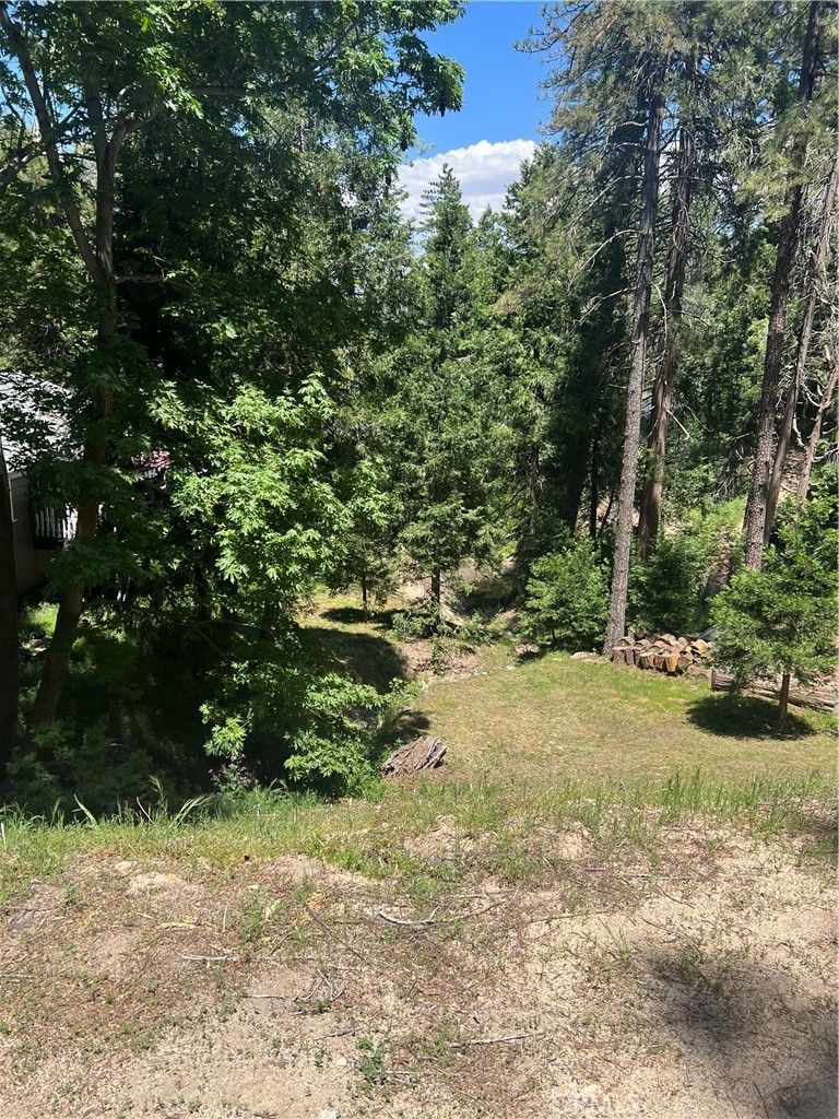 a view of a yard with plants and trees