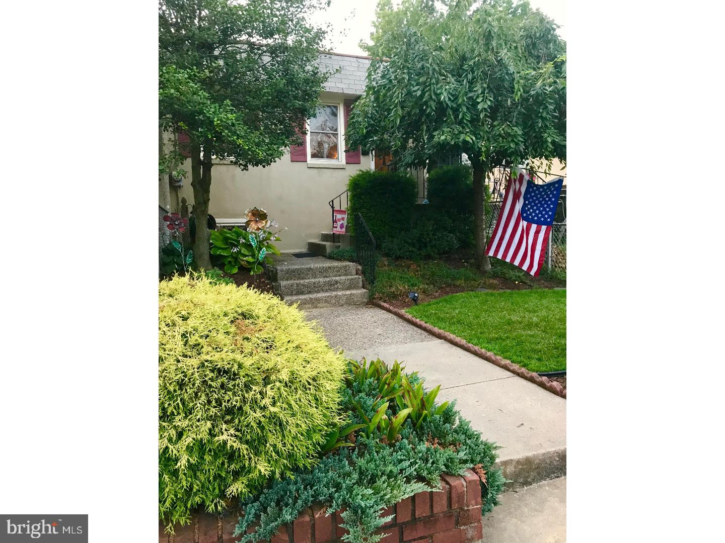 a view of backyard with a garden and plants