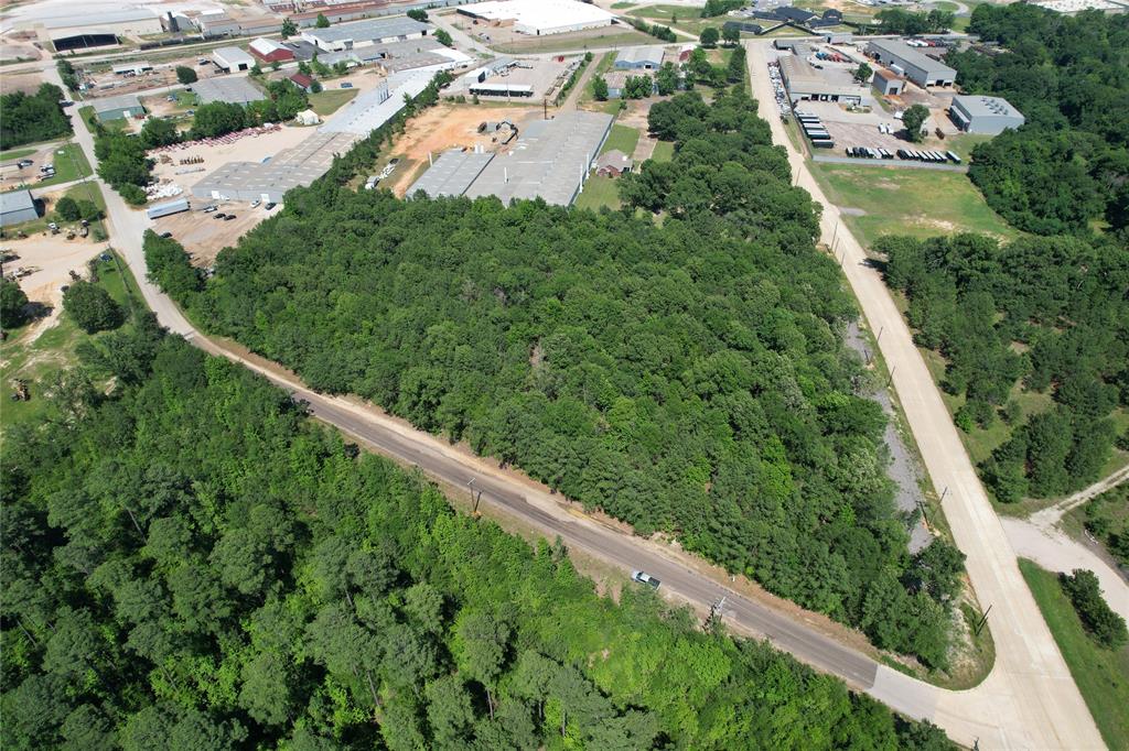 a view of a yard with plants