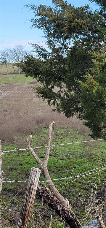 a view of a field with an ocean