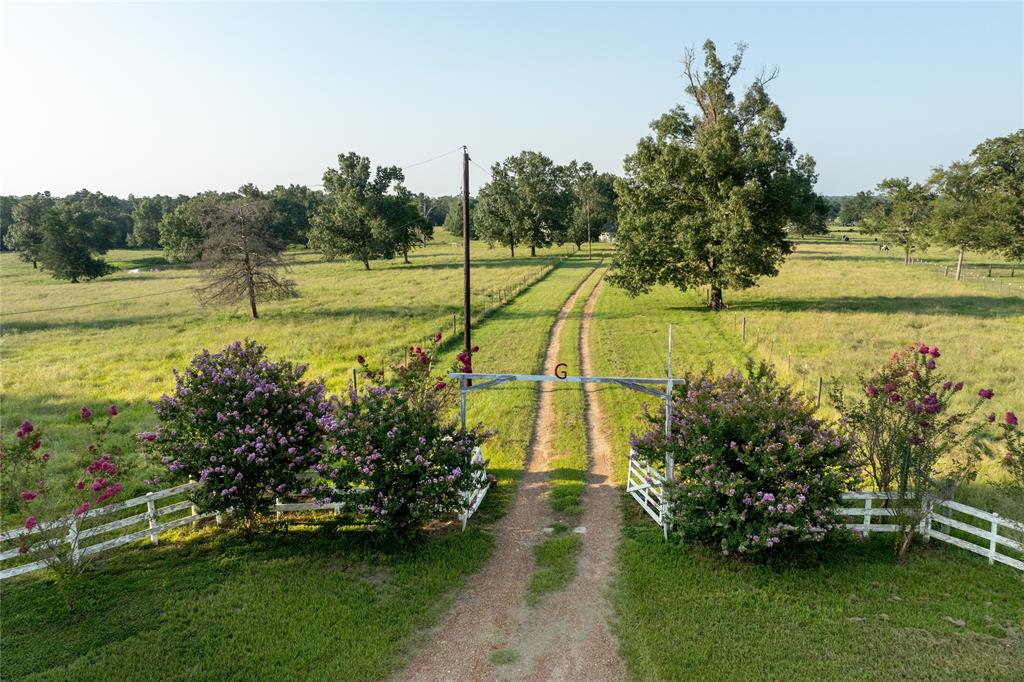 a view of a yard with an outdoor space