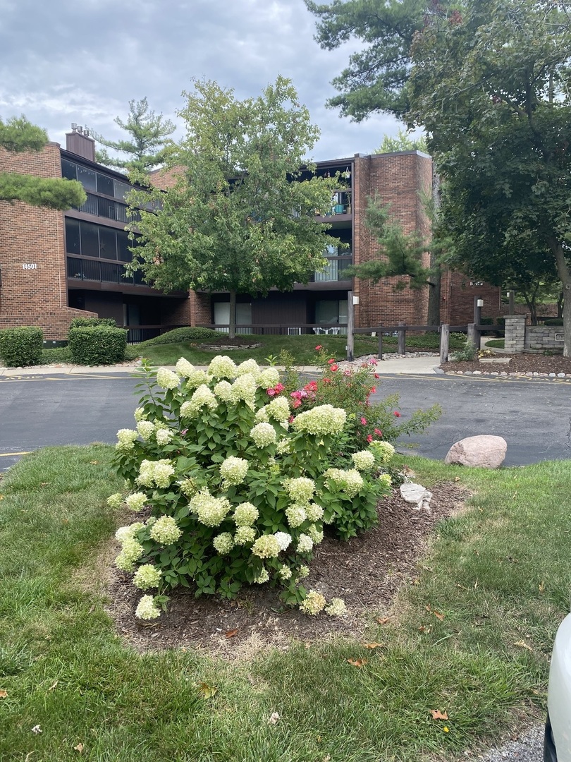 a bunch of flowers in front of house