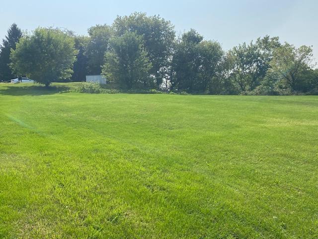 a view of a field with trees in the background