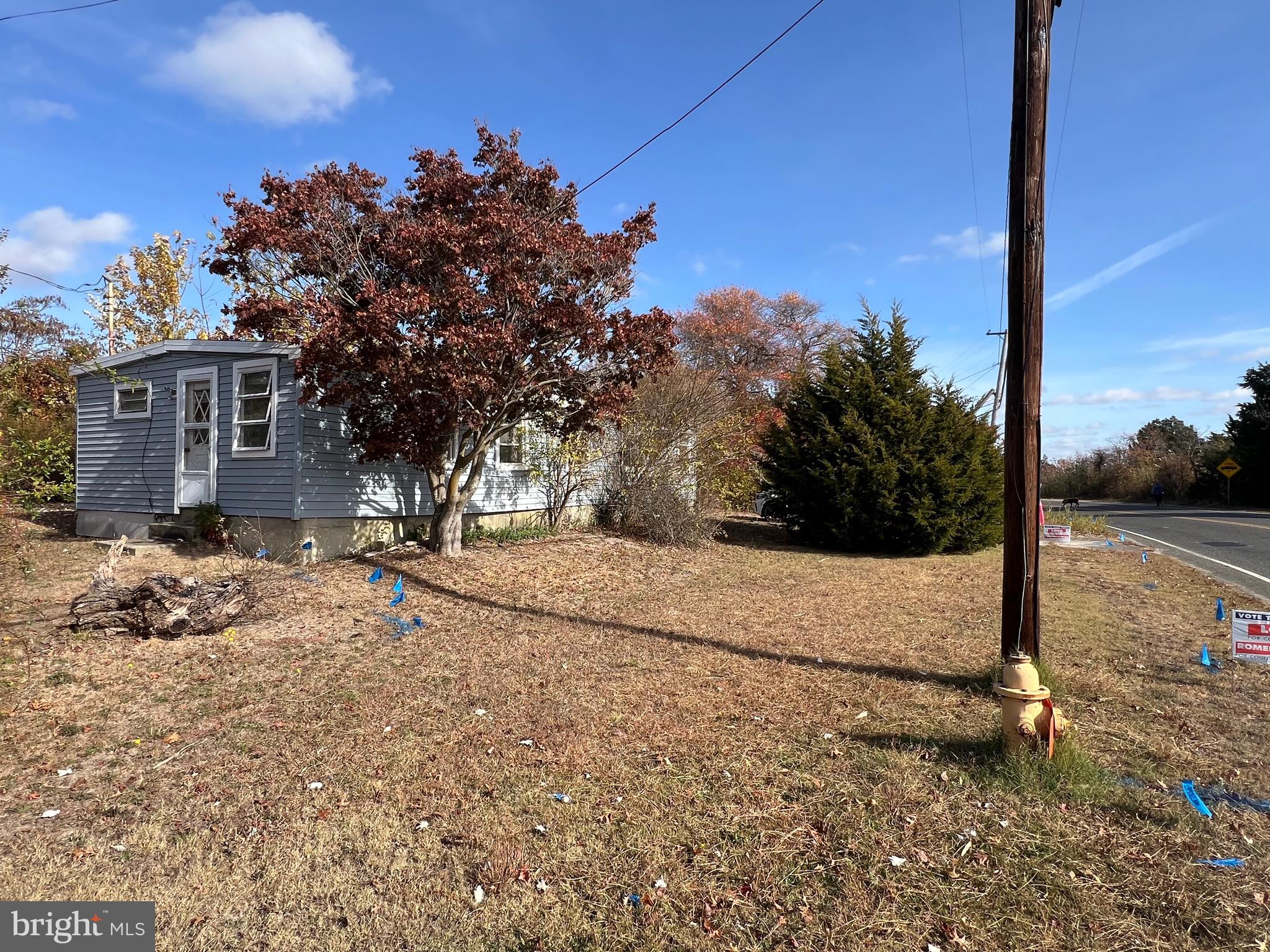 a view of a backyard with a tree