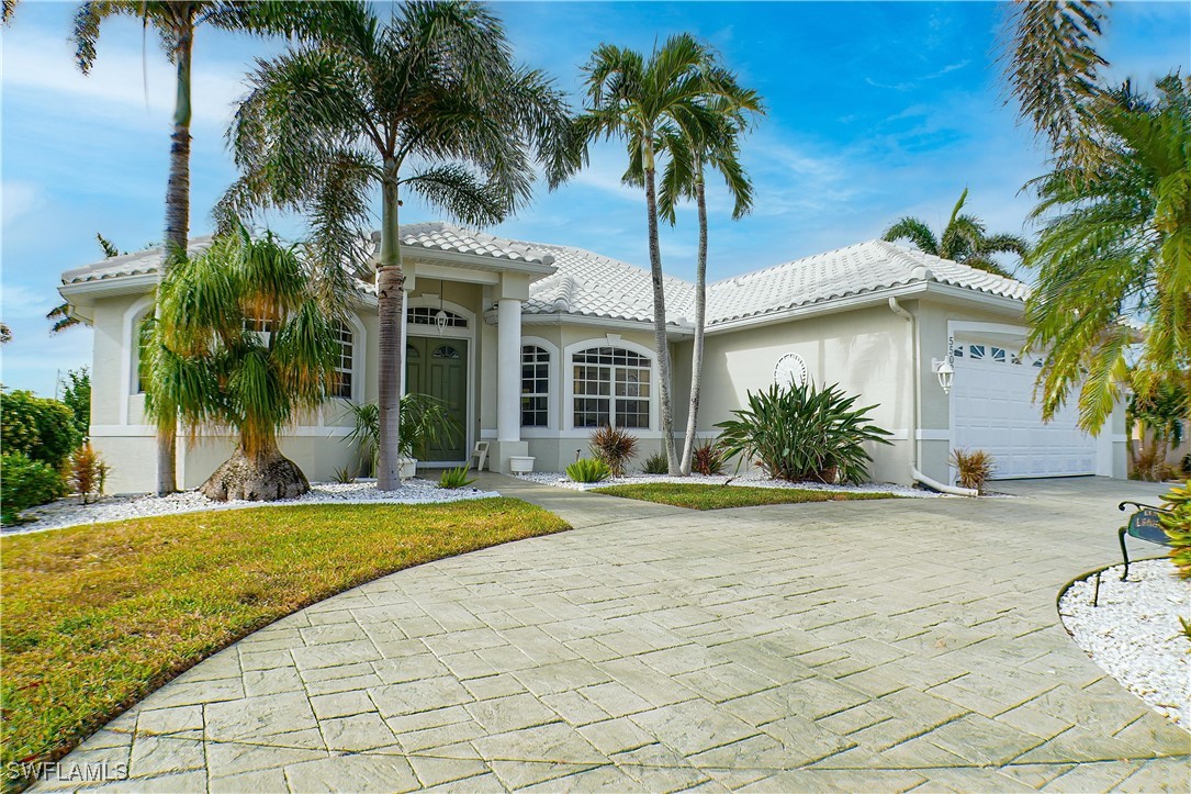 a front view of house with yard and palm tree