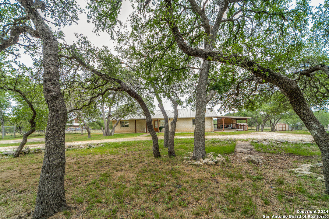 a view of yard with tree