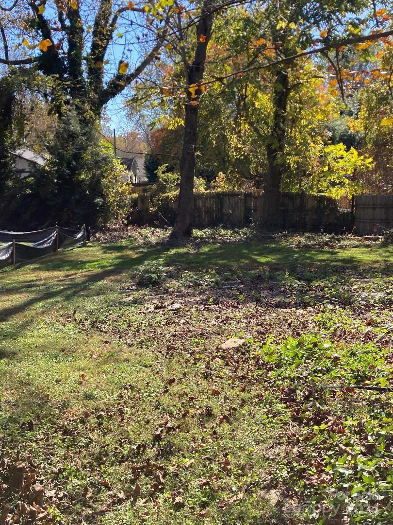 a view of a yard with a tree