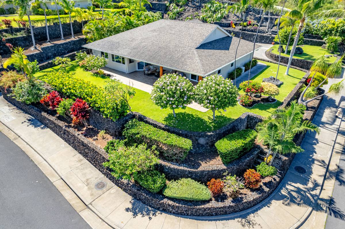 a view of a backyard with plants