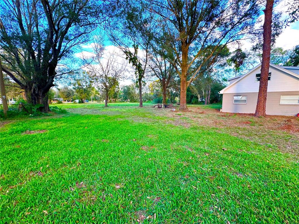 a big yard with large trees and a large tree