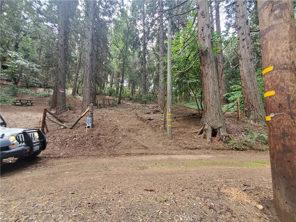 a view of a park with large trees