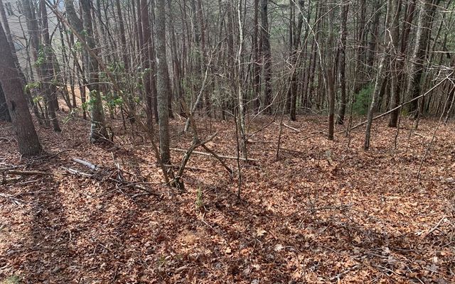 $14,999 | Lot20 Wolf Ridge Lane | Hothouse Township - Cherokee County