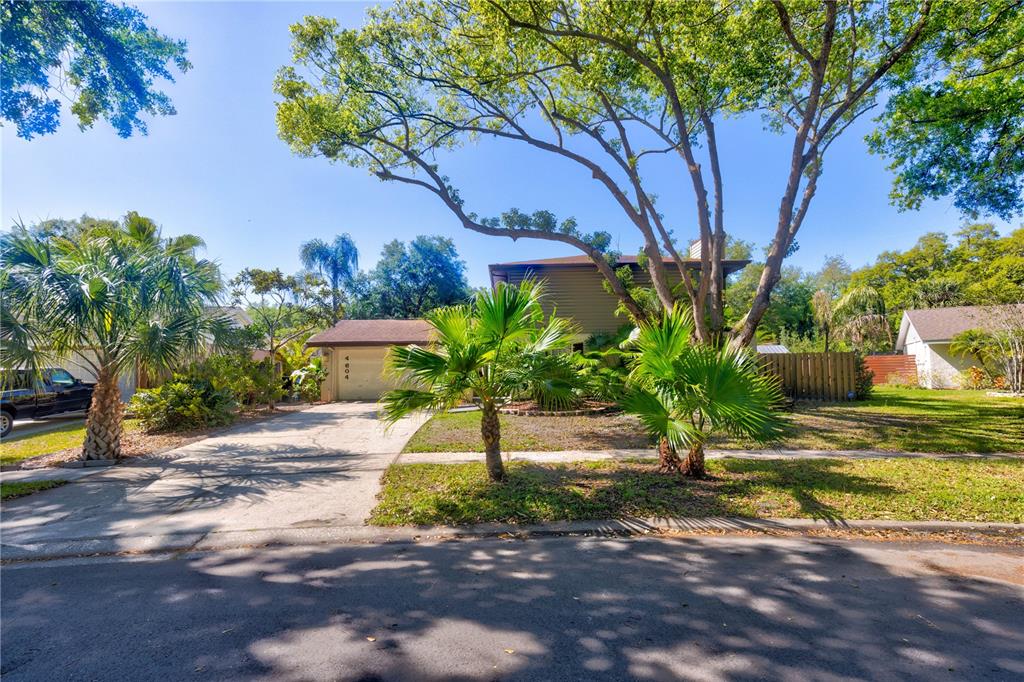 a view of a yard with plants and trees