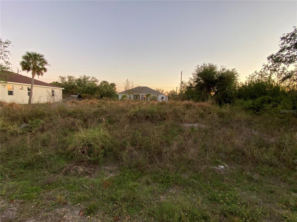 a view of a dry yard with trees