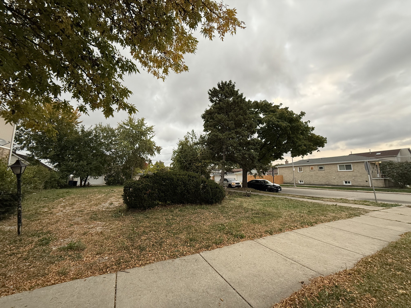 a view of a outdoor space with trees