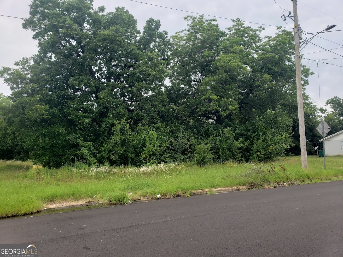 a view of a house with a big yard and large trees