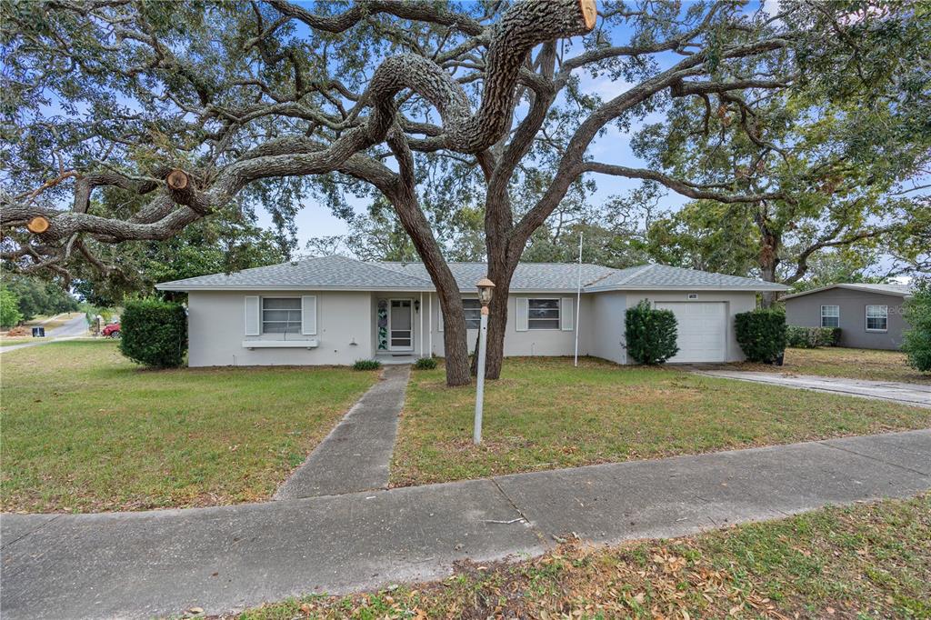 a house with a tree in front of it