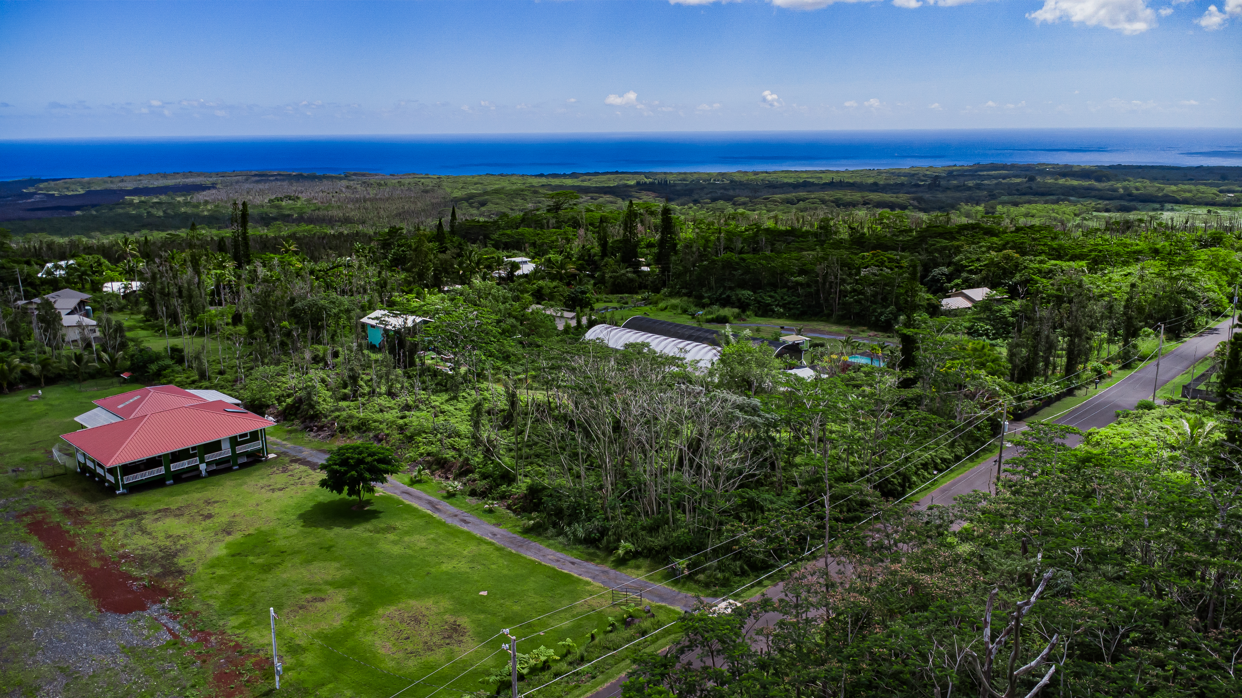 a view of a city with lush green forest