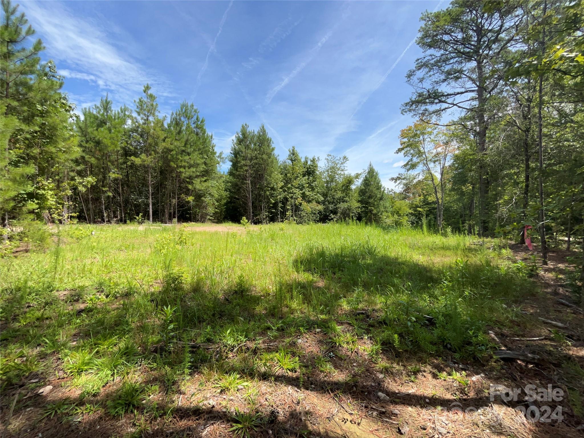 a view of green field with trees in the background