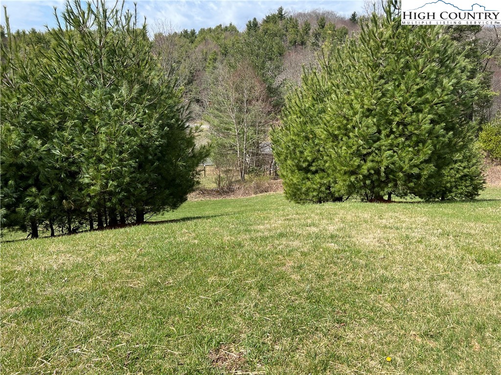 a view of yard with green space