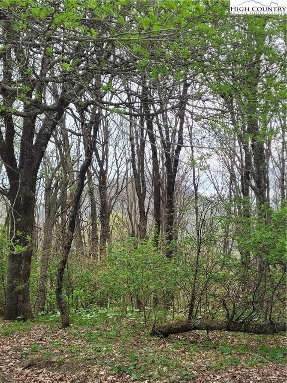 a view of backyard with green space