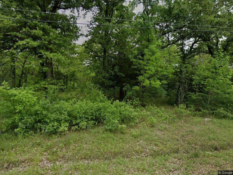 a view of a lush green forest