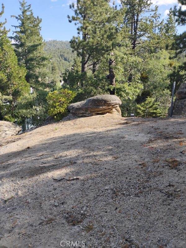 a view of dirt yard with large trees