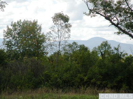 a view of mountain view with lots of trees