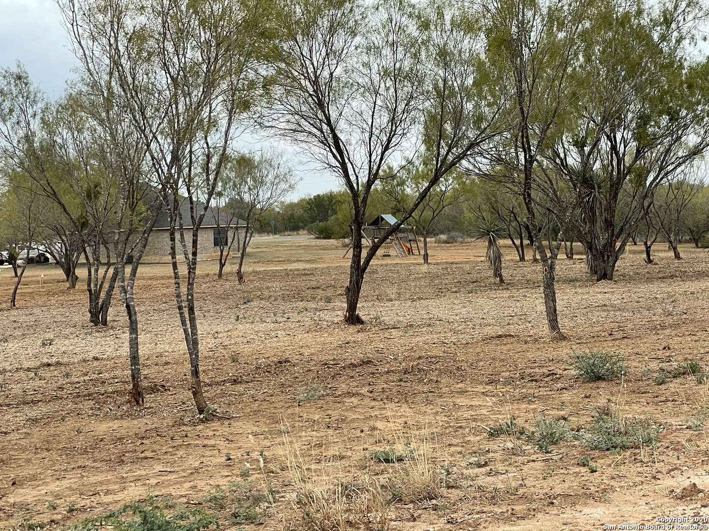 a view of empty space with trees