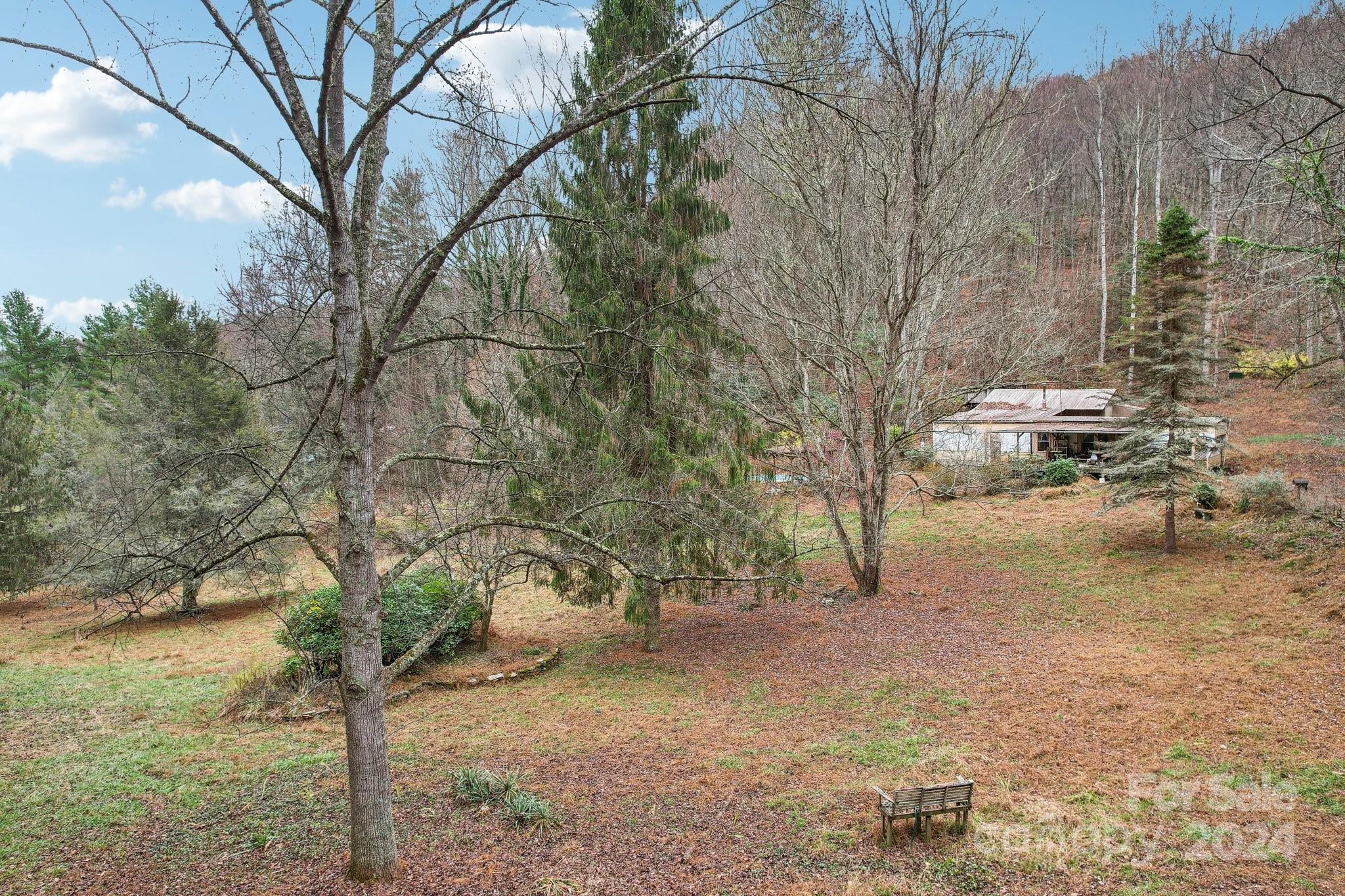 a backyard of a house with lots of trees