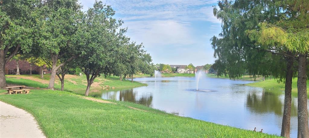 a view of a lake from a garden