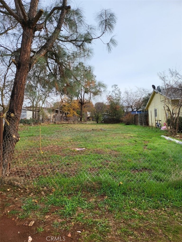 a view of a tree in front of a house