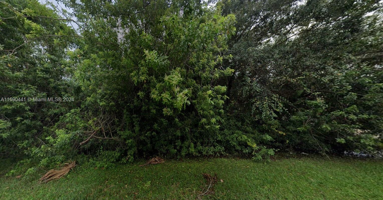 a view of outdoor space and yard