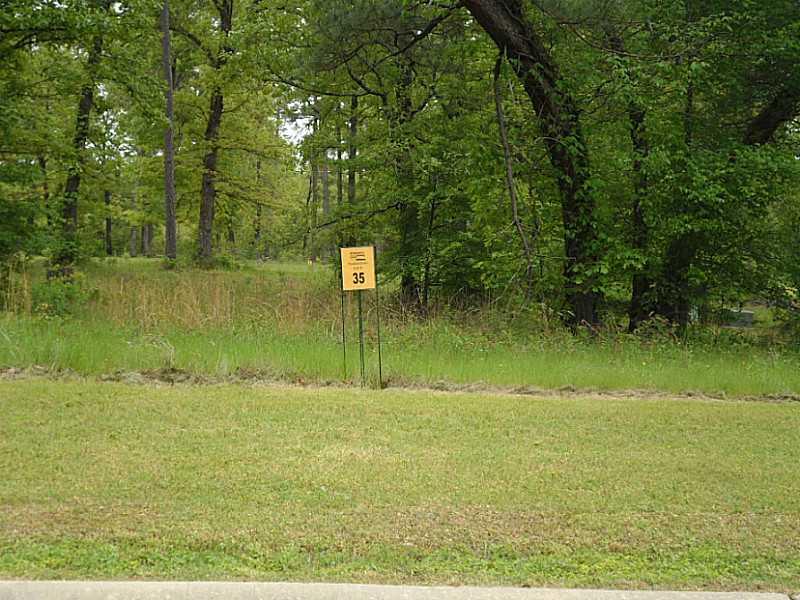 a view of a lake from a yard