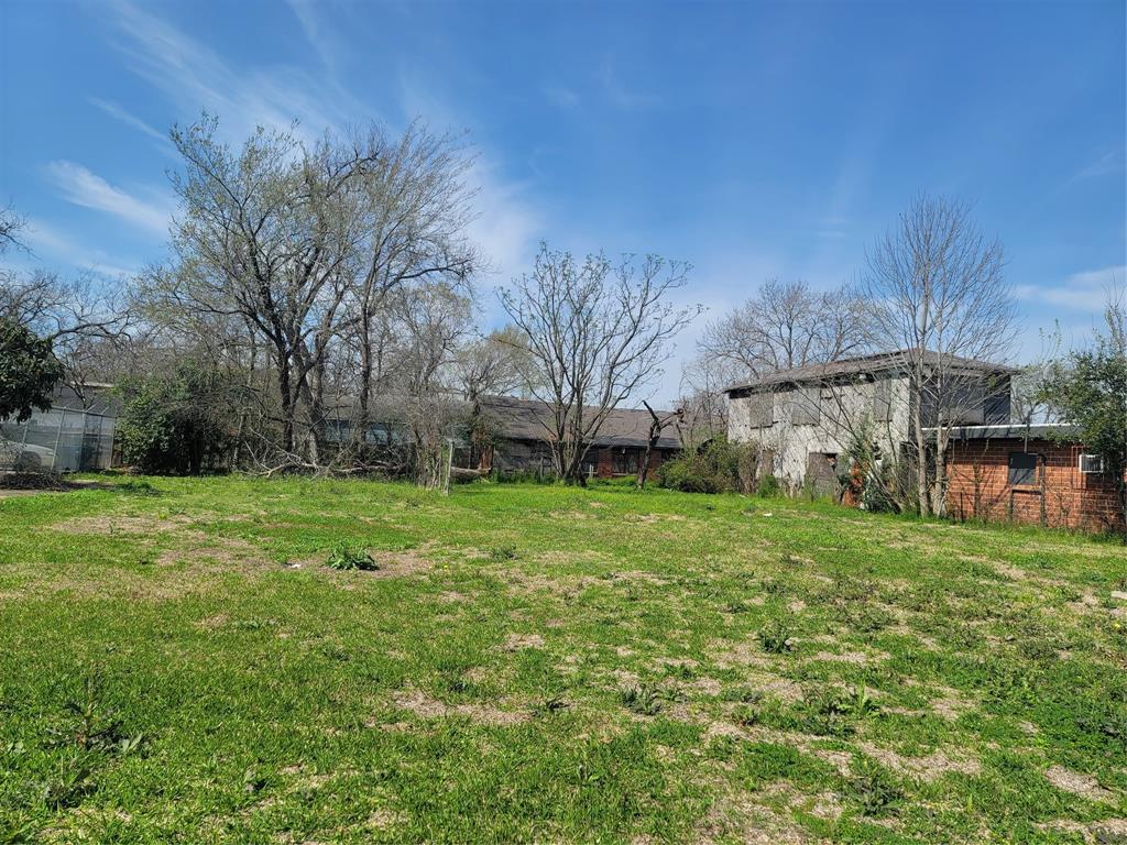 a view of a backyard with large trees