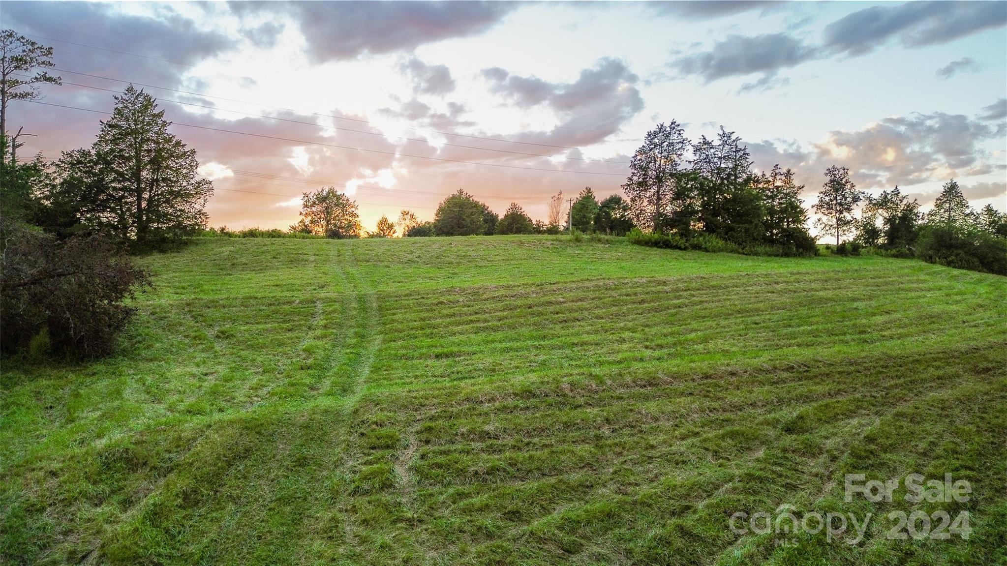 a view of field with grass and trees