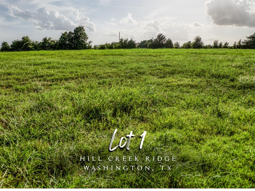 a view of a grassy field